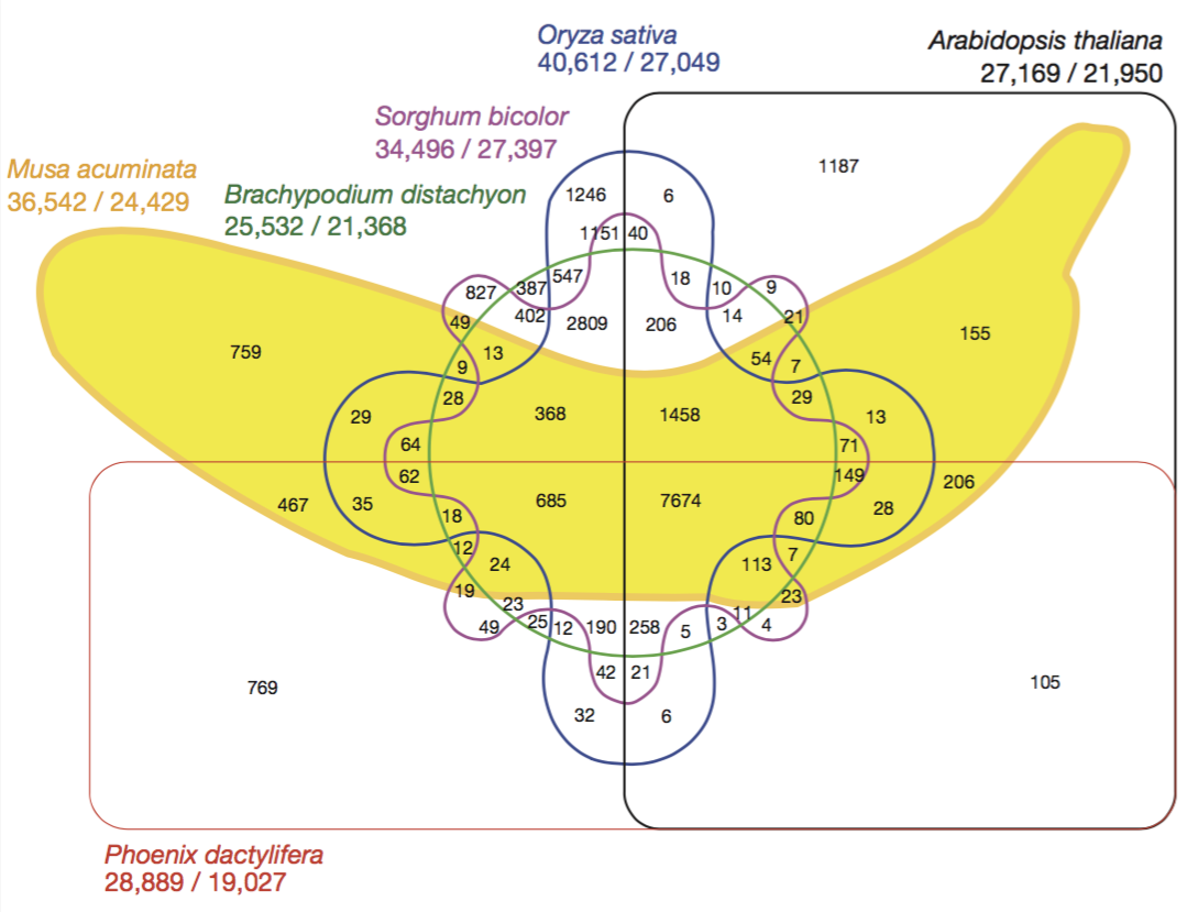 The six set banana venn diagram.