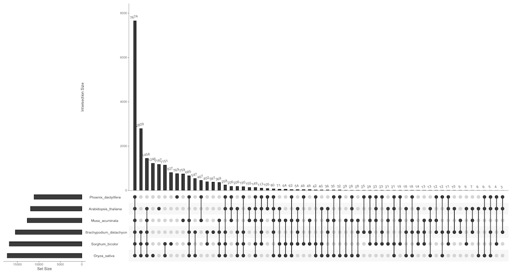 UpSet showing the banana data.