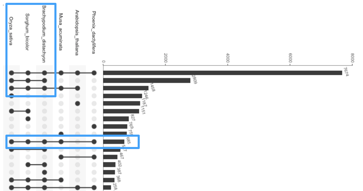 UpSet showing the banana data with highlight on the first three sets, and on the intersection of the date with the rest.