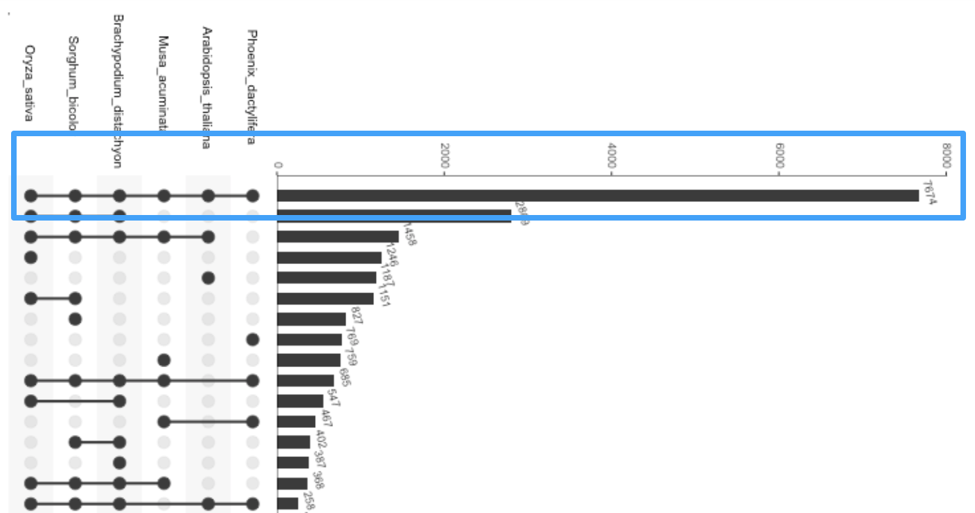 UpSet showing the banana data with highlight on largest intersection, which includes all sets.