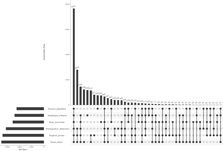 UpSet showing the bana data with small intersections removed. 